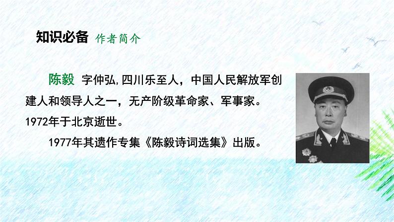 人教部编版(2024)九年级语文下册2梅岭三章ppt课件第6页