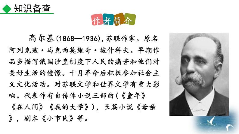 人教部编版(2024)九年级语文下册4海燕第一课时课件第5页
