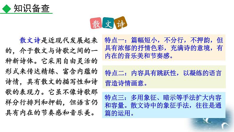 人教部编版(2024)九年级语文下册4海燕第一课时课件第7页