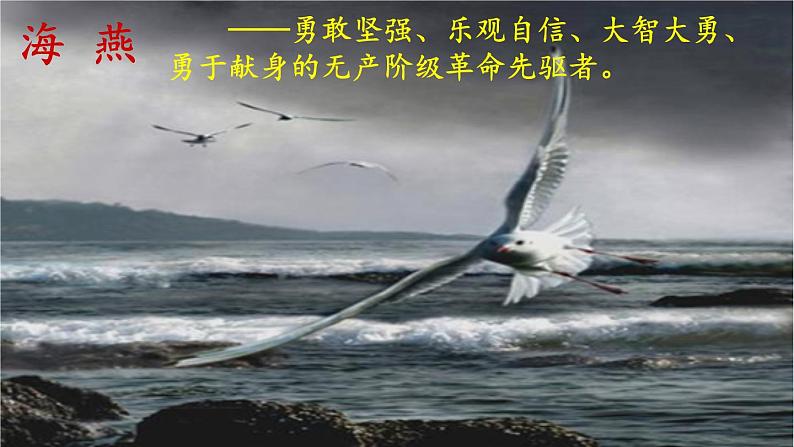人教部编版(2024)九年级语文下册4海燕第二课时课件第7页
