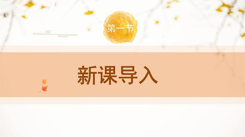 人教部编版(2024)九年级语文下册8蒲柳人家(节选)课件ppt第3页