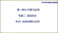 2025年中考语文二轮专题复习-《词语的理解与运用》课件