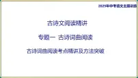 2025年中考语文古诗文专项复习 专题一 古诗词曲阅读 古诗词曲阅读考点精讲及方法突破 课件