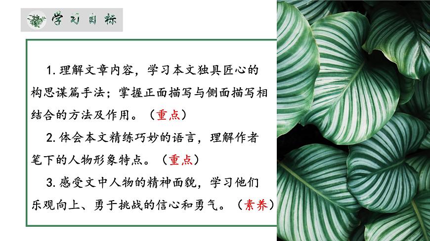 人教部編版初中語(yǔ)文九年級(jí)上冊(cè) 《7.溜索》課件第4頁(yè)