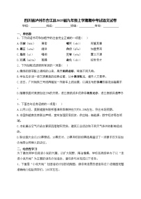 四川省泸州市合江县2025届九年级上学期期中考试语文试卷(含答案)