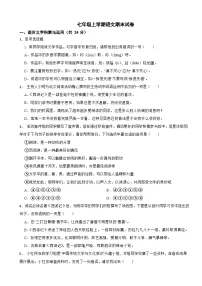 湖南省株洲市2024年七年级上学期语文期末试卷【含答案】