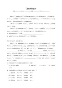 统编版语文八年级上册 基础知识综合期末专项复习试题（含答案）
