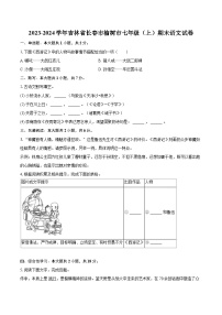 2023-2024學(xué)年吉林省長(zhǎng)春市榆樹(shù)市七年級(jí)（上）期末語(yǔ)文試卷（含詳細(xì)答案解析）