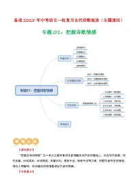 专题01:把握诗歌情感精练-备战2025年中考语文一轮复习古代诗歌阅读(全国通用)