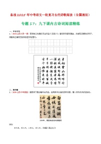 專題17：九下課內(nèi)古詩詞閱讀精練-備戰(zhàn)2025年中考語文一輪復(fù)習(xí)古代詩歌閱讀（全國通用）