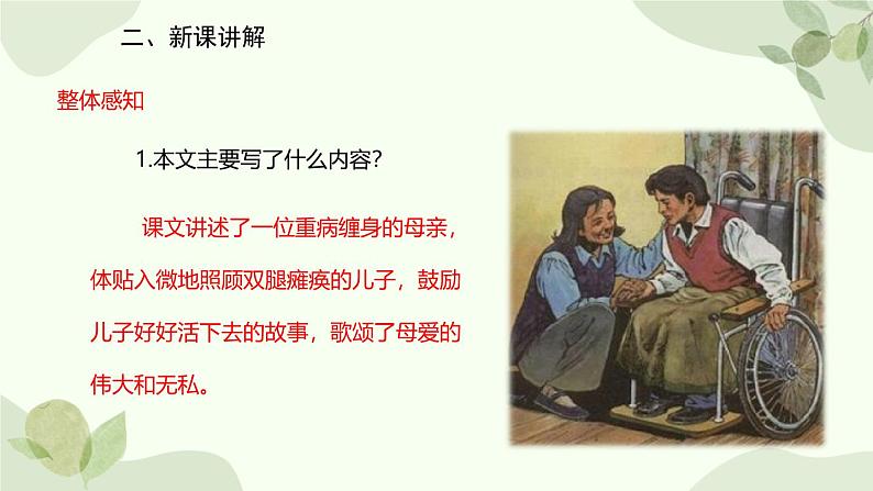 统编版(2024)语文七年级上册 5 秋天的怀念课件第7页