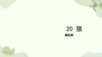 初中语文人教部编版（2024）七年级上册（2024）20 狼/蒲松龄课文配套ppt课件