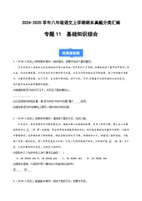 八上语文期末真题汇编专题11 基础知识综合（原卷+答案）2024-2025学年上学期期 统编版全国通用