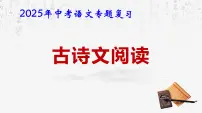 2025年中考语文专题复习:古诗文阅读 课件