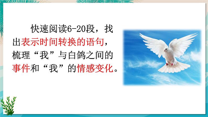 初中语文人教部编版(2024)七年级上册(2024) 18 我的白鸽 课件第6页