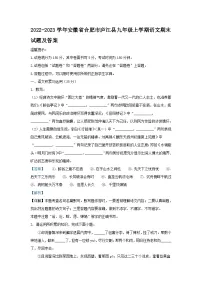 2022-2023学年安徽省合肥市庐江县九年级上学期语文期末试题及答案
