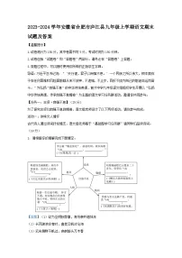 2023-2024学年安徽省合肥市庐江县九年级上学期语文期末试题及答案
