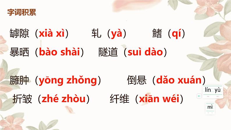 《蝉》课件统编版语文八年级上册第6页