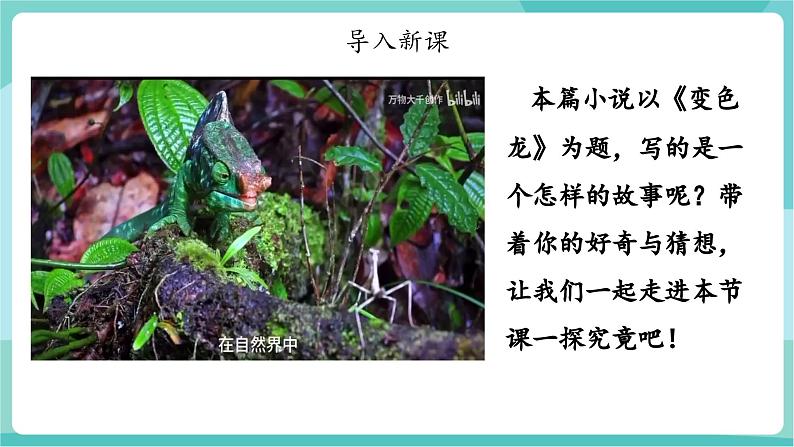 第6课 见风使舵的嘴脸 ,荒唐可笑的闹剧——《变色龙》(教学课件)第4页