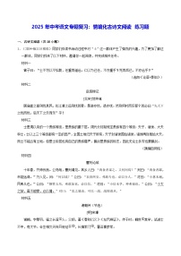 2025年中考語(yǔ)文專題復(fù)習(xí)：情境化古詩(shī)文閱讀 練習(xí)題（含答案解析）