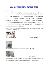2025年中考語(yǔ)文專題復(fù)習(xí)：情境化默寫 練習(xí)題（含答案解析）