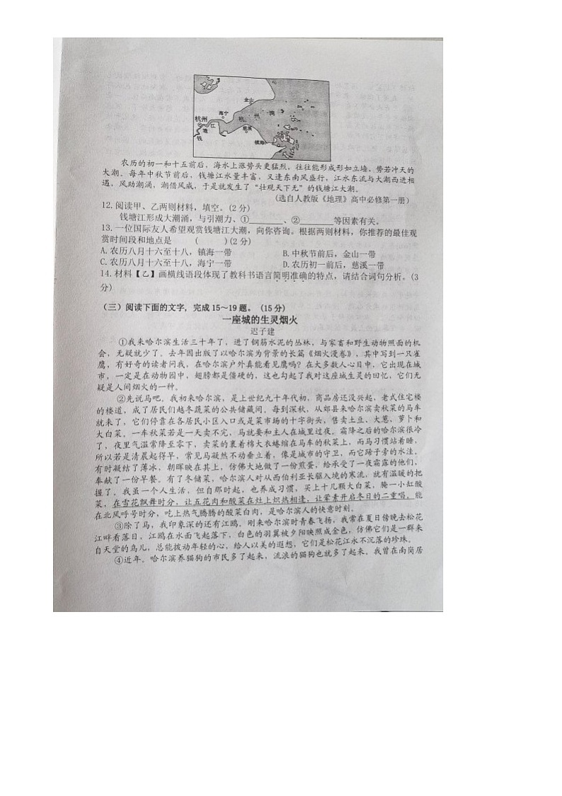 吉林省长春市榆树市慧望初级中学2024-2025学年八年级上学期期末语文测试题第3页