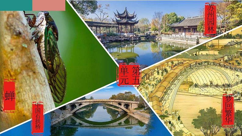 统编版语文八年级上册期末复习课件(第五单元)第1页