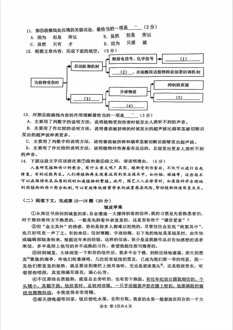 上海市奉贤区2024-2025学年九年级上学期期末语文试题第3页