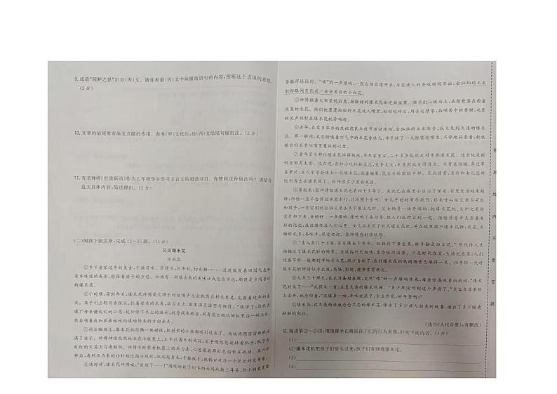 吉林省松原市前郭尔罗斯蒙古族自治县2024-2025学年七年级上学期第一次月考语文试题第2页