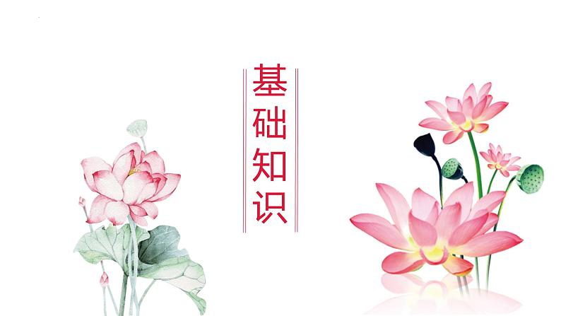 第7课《荷叶·母亲》课件-2024-2025学年统编版语文七年级上册(2024)第3页