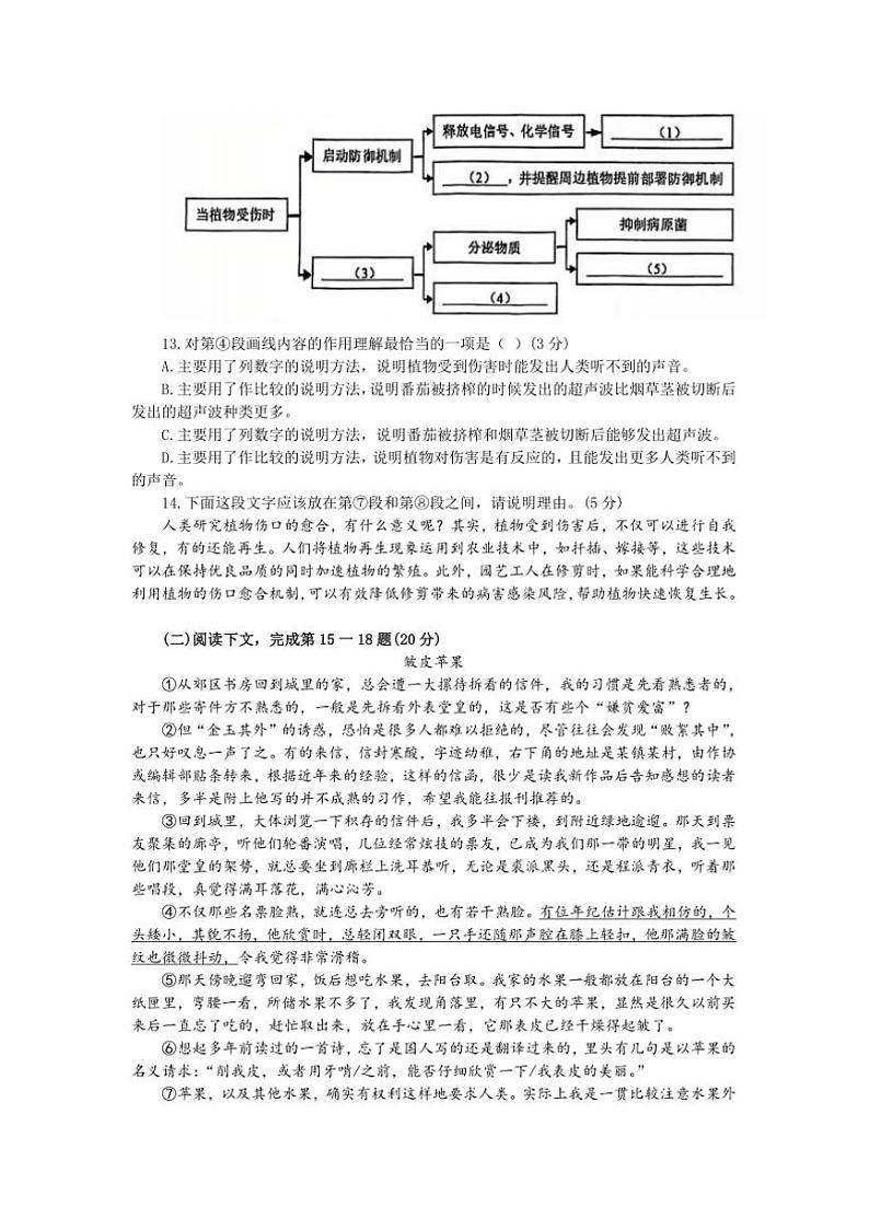 2024~2025学年海市奉贤区九年级上上期末语文试卷(含答案)第3页