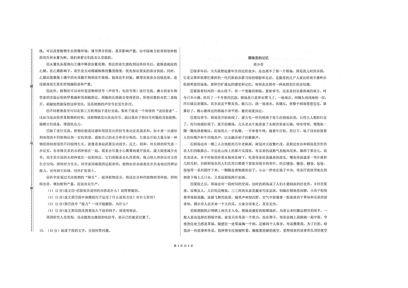 山东省东营市广饶县乐安中学2024-2025学年六年级11月期中-语文第3页
