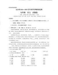 云南省文山壮族苗族自治州2024—2025学年九年级上学期1月期末语文试题