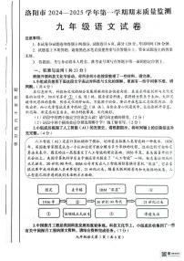 2024-2025学年河南省洛阳市九年级上学期期末语文试卷