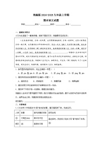 统编版2024-2025九年级上学期期末语文试题(含答案）