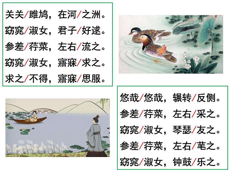 统编版八年级语文下册12.《诗经》二首 课件第7页