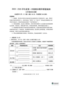 广东省惠州市惠阳区2024-2025学年九年级上学期1月期末考试语文试题