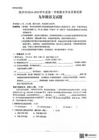 广东省清远市连州市2024-2025学年九年级上学期期末考试语文试卷