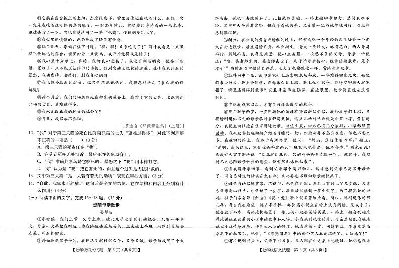 广东省汕尾市2024-2025学年七年级上学期期末考试语文试题第3页