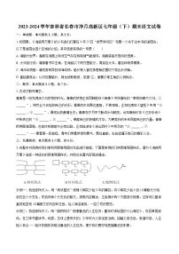 2023-2024學(xué)年吉林省長(zhǎng)春市凈月高新區(qū)七年級(jí)（下）期末語(yǔ)文試卷(含詳細(xì)答案解析)