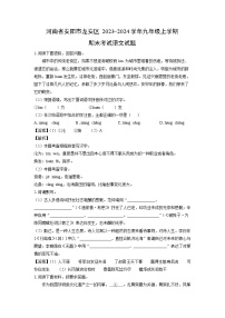 2023~2024学年河南省安阳市龙安区九年级上期末考试语文试卷（解析版）