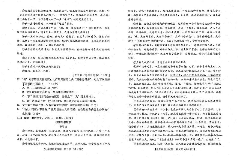 广东省汕尾市2024-2025学年七年级上学期期末考试语文试题第3页