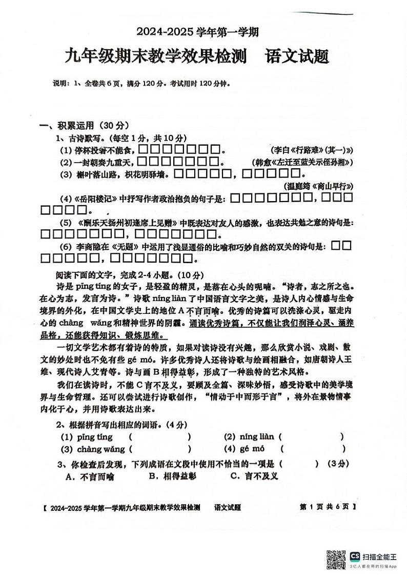 广东省湛江市雷州市2024-2025学年九年级上学期1月期末语文试题第1页