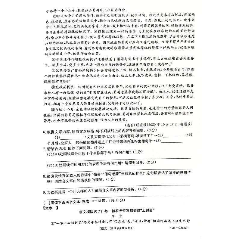 河南省商丘市虞城县2024-2025学年九年级上学期1月期末语文试题第3页