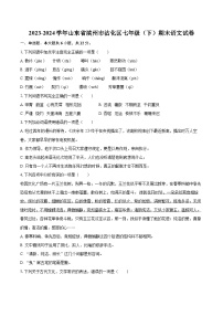2023-2024學(xué)年山東省濱州市沾化區(qū)七年級（下）期末語文試卷（含詳細(xì)答案解析）