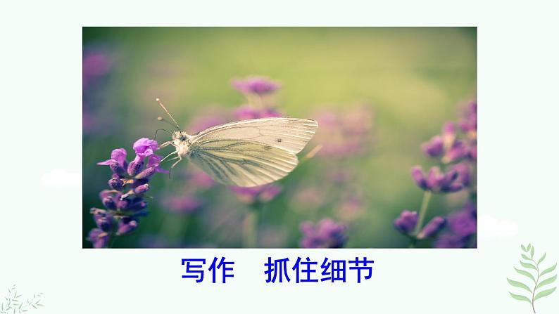 写作 抓住细节第2页