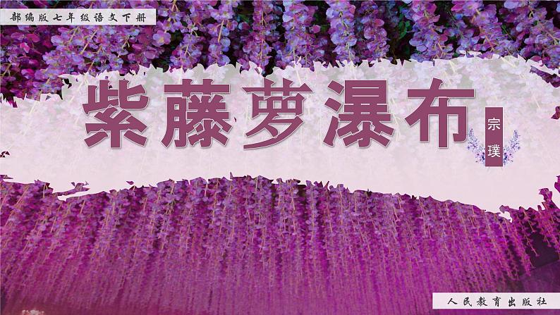 部编版2025春七年级下册语文19.紫藤萝瀑布 课件第1页