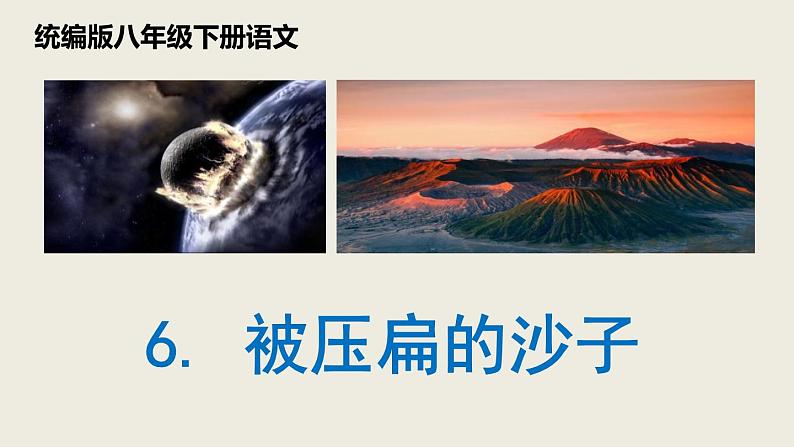 部编版八年级语文下册第二单元第6课《被压扁的沙子》同步课件第1页