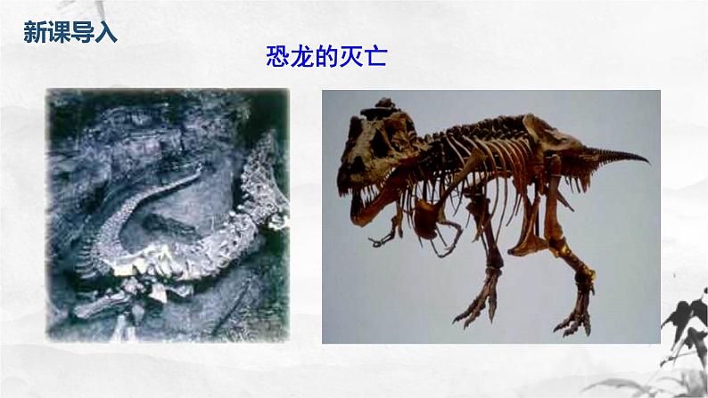 部编版八年级语文下册第二单元第6课《被压扁的沙子》同步课件第3页