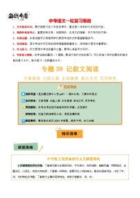 專題41 記敘文閱讀--2025年中考語文一輪復(fù)習(xí)答題技巧（講練）